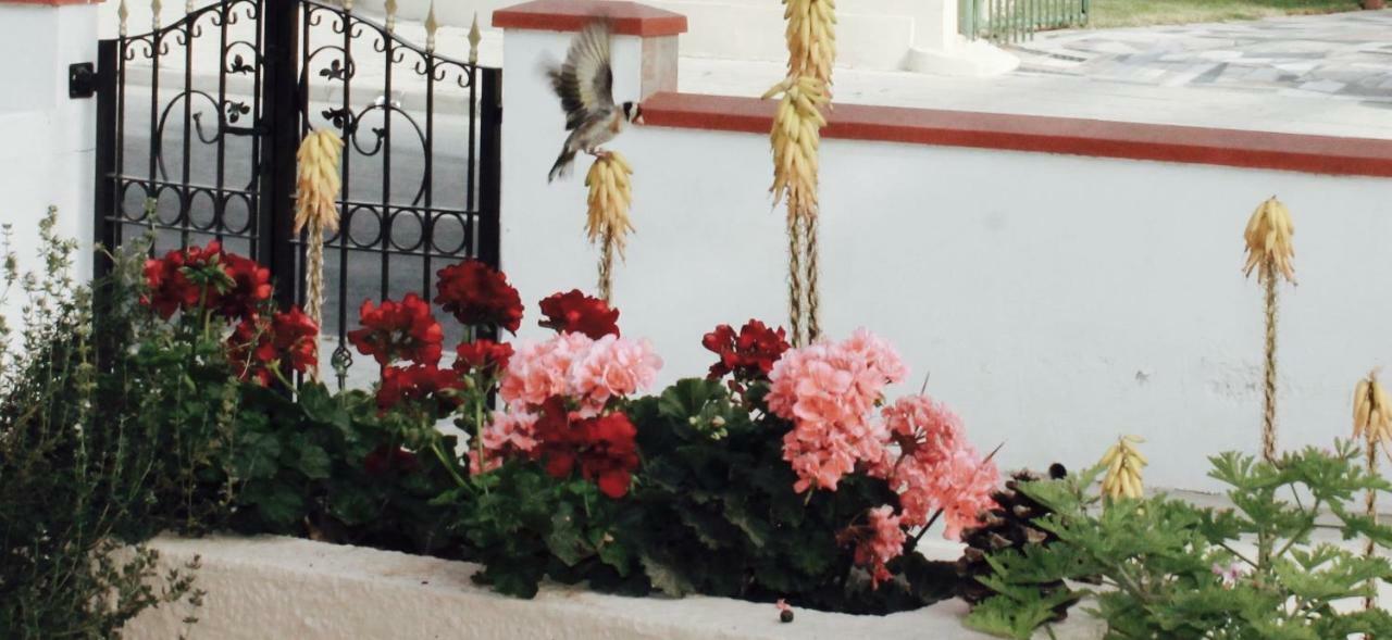 Villa Ithaca Larnaca Esterno foto