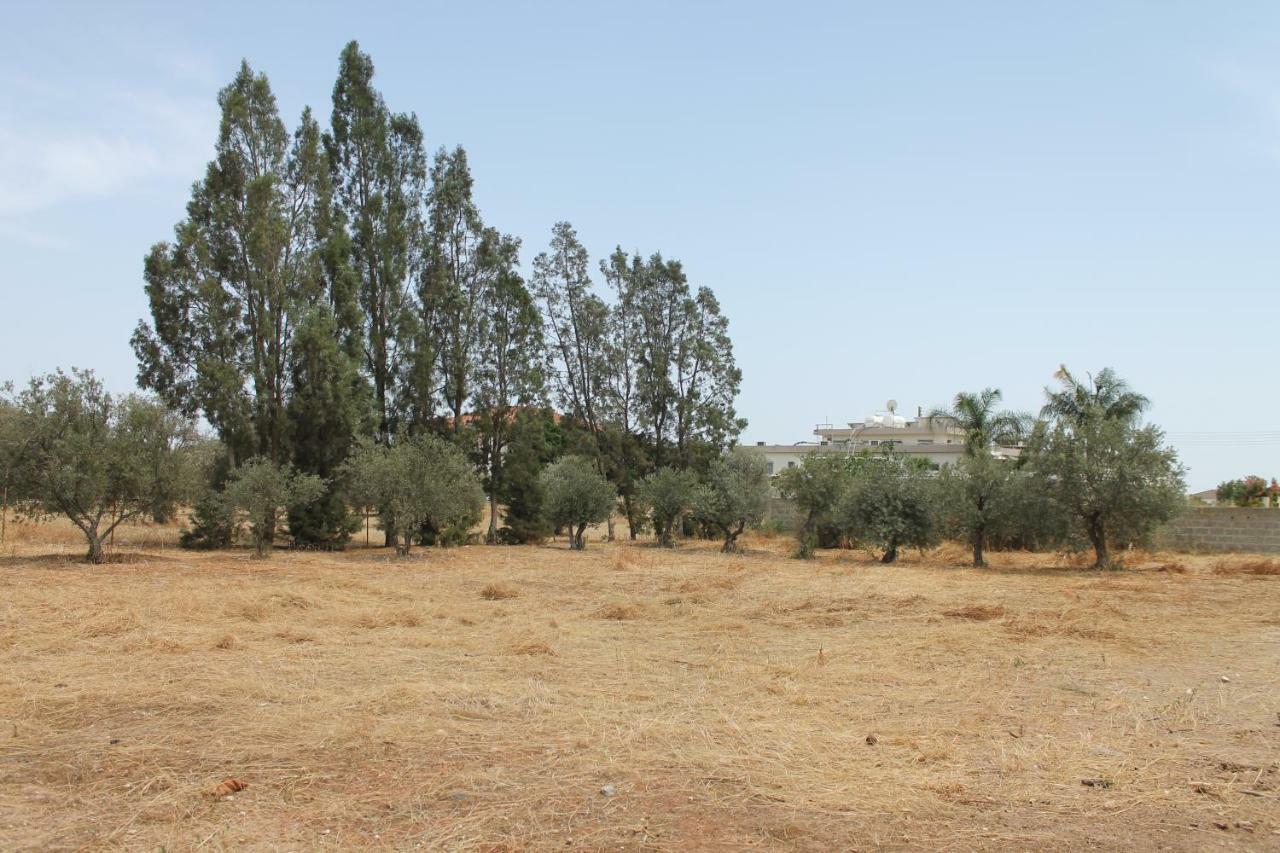 Villa Ithaca Larnaca Esterno foto